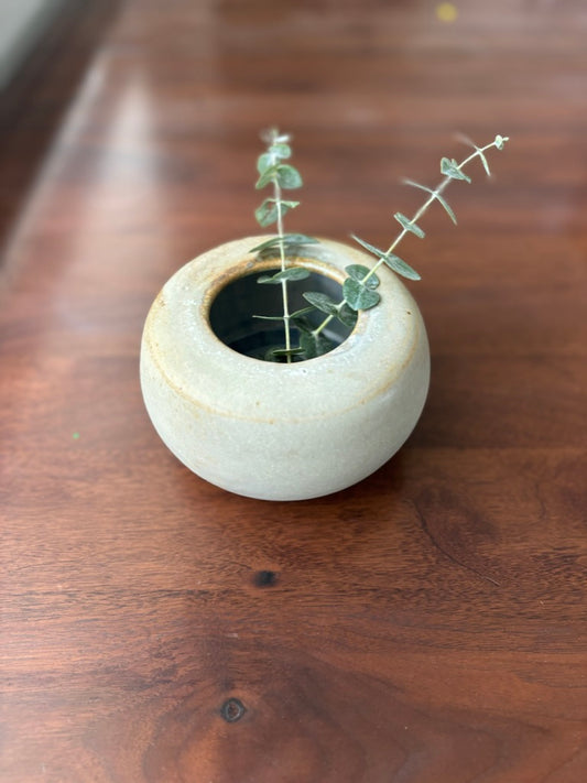 Ocotillo vase